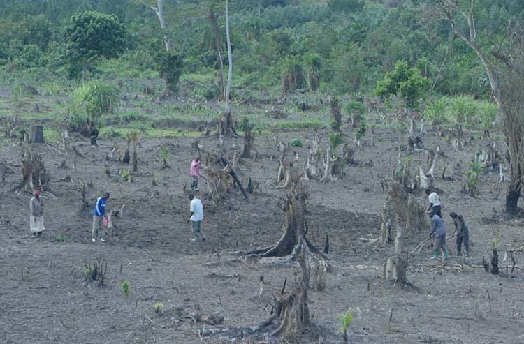 Farming and unemployment in Uganda