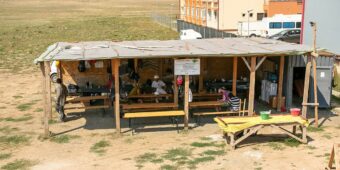 the shelter report