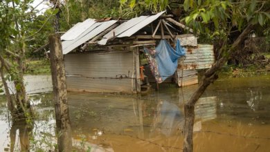 Disaster response in the Philippines