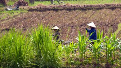 Housing poverty in Vietnam