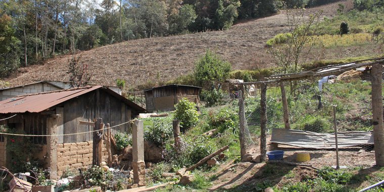 Land rights Bolivia - poverty in Bolivia