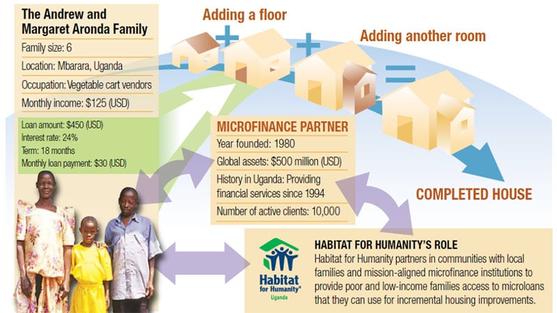 how microfinance works graphic