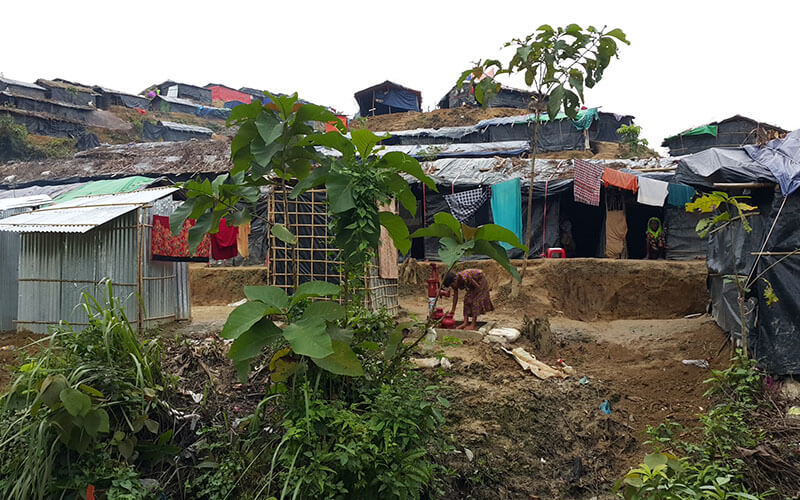 Informal settlements in Rohingya