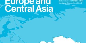 europe and central asia microbuild