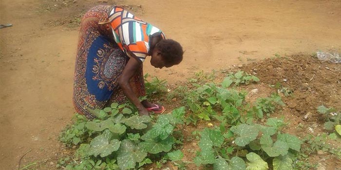 zambia-house-garden