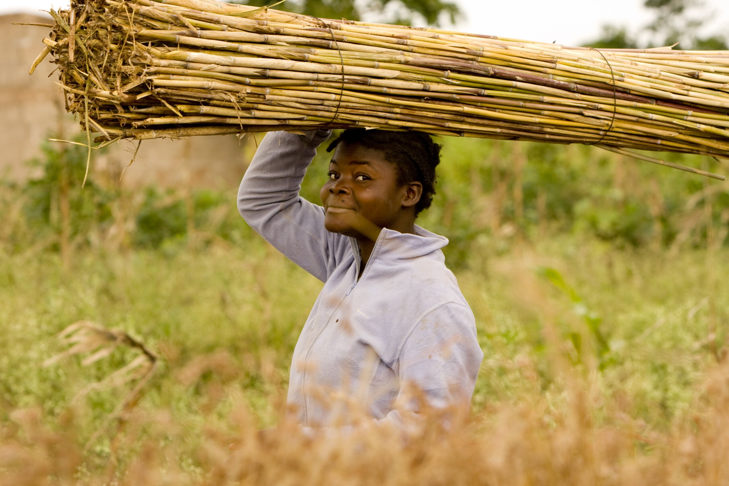 woman carrying items on her head through a farm field - cilmate