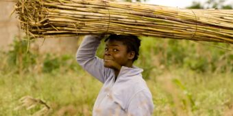 woman carrying items on her head through a farm field - cilmate
