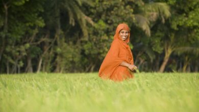 Women wearing colourful clothes walk through a field (CBDM family profile)