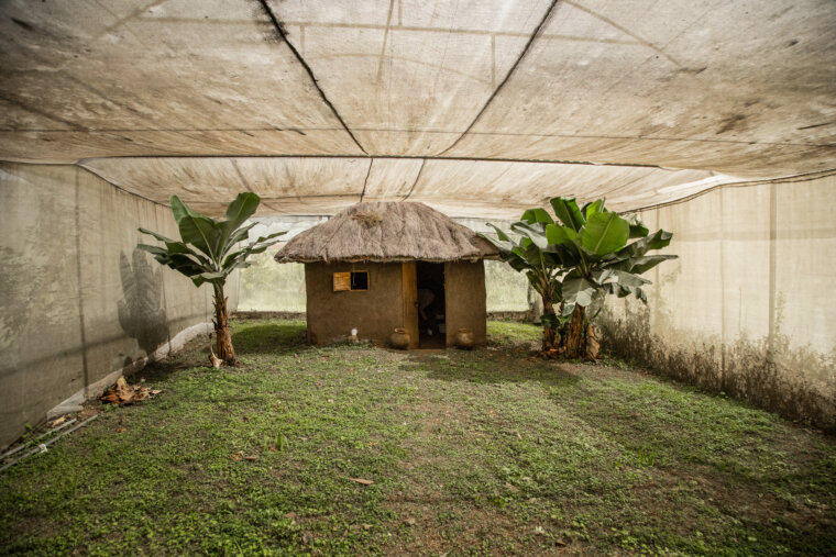 A mosquito model hut in a controlled environment at Center of Global Health Research (KEMRI) in Kisumu Kenya