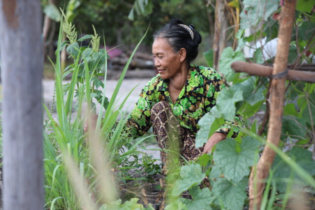 farming - grow your own - cost of living crisis