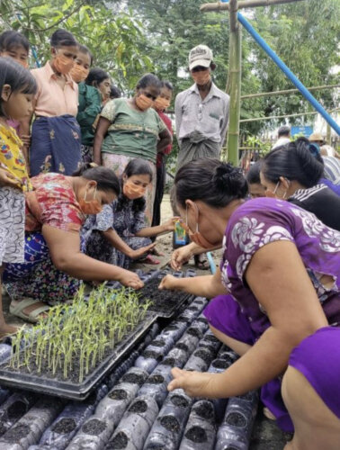 sustainable farming techniques in Yangon and Bago, Myanmar