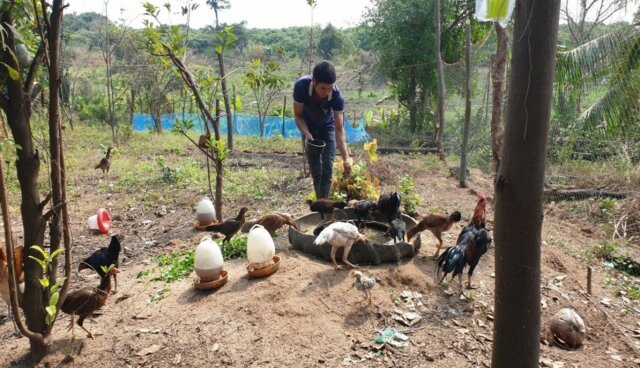 Thanks to support from Touchstone, Habitat Cambodia recently completed a three-year project called Chapadeum Chivet Thmey which built 17 new houses, upgraded 21 houses, built 10 latrines, trained 38 family representatives in financial literacy and livelihood skills, and provided 17 families with micro-finance livelihood start-up support. - farming