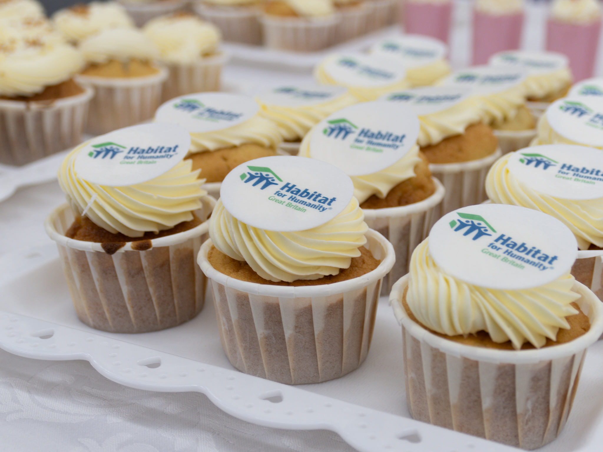 Cupcakes decorated with Habitat for Humanity toppers